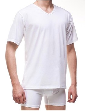 Футболка мужская Cornette 201 AUTHENTIC AU NEW белый, Цвет: белый, Размеры: M