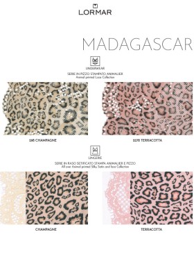Комплект Lormar MADAGASCAR топ+бразилиана Mad52815 terracotta, Цвет: terracotta (кофе), Размеры: 80B, изображение 6