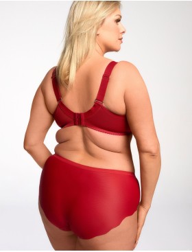 Трусы слипы Bella Misteria CHIC TRAP briefs, Цвет: красный, Размеры: 3XL, изображение 4