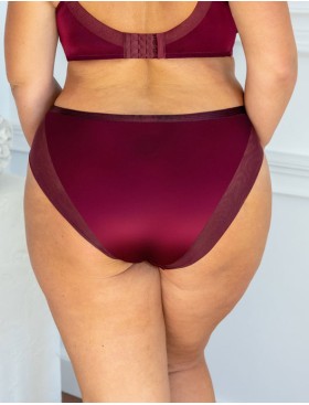Трусы слипы Kris Line MERLOT briefs, Цвет: бордо, Размеры: 2XL, изображение 2