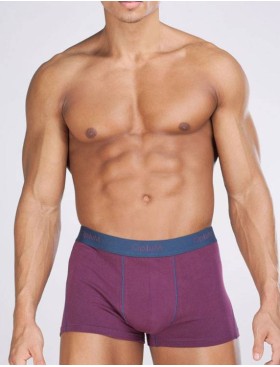 Мужские трусы боксеры Opium R-75 бордовый, Цвет: бордовый, Размеры: M