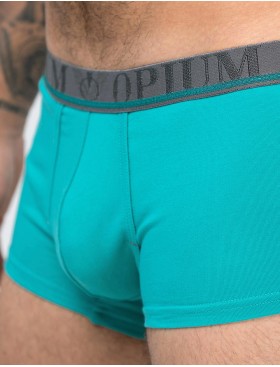 Мужские трусы боксеры Opium R-162 зеленый, Цвет: зеленый, Размеры: 3XL, изображение 3