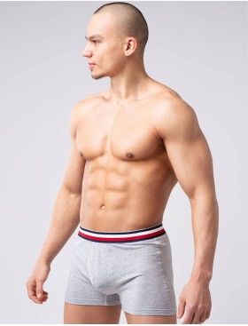 Мужские трусы боксеры Opium R-124 серый, Цвет: серый, Размеры: S