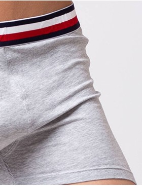 Мужские трусы боксеры Opium R-124 серый, Цвет: серый, Размеры: S, изображение 4