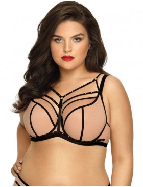 Полумягкий бюстгальтер Novika GILLIAN N02 PU с черным, Цвет: бежевый с черным, Размеры: 105B, изображение 3