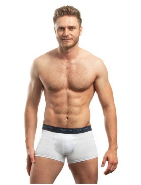 Трусы боксеры Jolidon N246MM white, Цвет: white (белый), Размеры: L