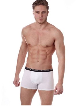 Трусы боксеры Jolidon N275BL white, Цвет: white (белый), Размеры: M, изображение 2