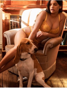 Бюстгальтер мягкий Kinga SUNKISS 853-SC, Цвет: желтый, Размеры: 70D, изображение 5