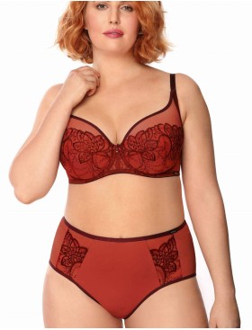 Трусы слипы Nipplex LIVIA FIGI рубин, Цвет: рубин, Размеры: S, изображение 2