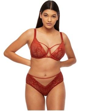 Мягкий кружевной бюстгальтер Kinga FIREBIRD 860-SC, Цвет: медный, Размеры: 65F, изображение 5