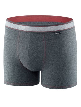 Мужские трусы боксеры UNICONF BB99 серый меланж, Цвет: серый меланж, Размеры: L, изображение 2