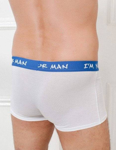 Трусы боксеры Jolidon N208MM, Цвет: white (белый), Размеры: M, изображение 2