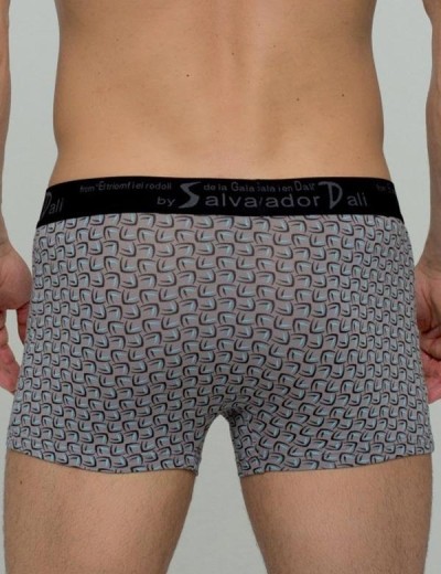Мужские трусы боксеры Salvador Dali SD2023-1, Цвет: серый, Размеры: M, изображение 2