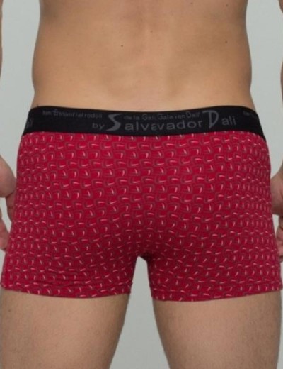 Мужские трусы боксеры Salvador Dali SD2023-3, Цвет: бордовый, Размеры: 2XL, изображение 2