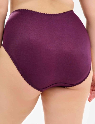 Высокие трусы слипы Lauma COTTON CLASSIC L01810 сливовое вино, Цвет: сливовое вино, Размеры: XL, изображение 2