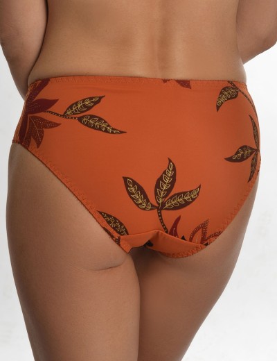 Трусы слипы Valmira 2934/M коньяк, Цвет: коньяк, Размеры: M, изображение 2