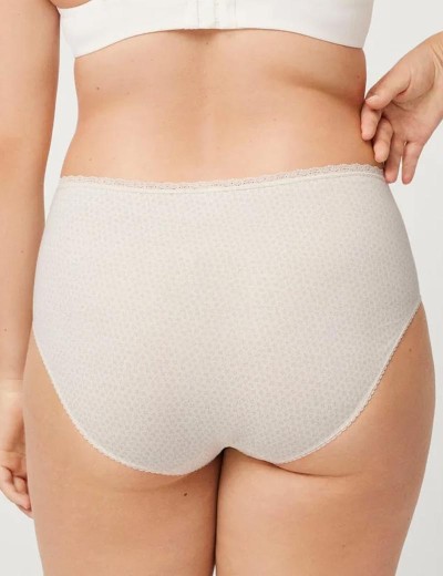 Набор высоких трусов слипов 2 шт Ysabel Mora 19518 INTIMATES, Цвет: пудровый+экрю, Размеры: 2XL, изображение 3