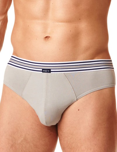 Мужские слипы Key MPP 273 B22 (2 шт) синий + серый, Цвет: синий + серый, Размеры: L, изображение 2