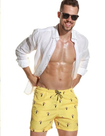 Мужские пляжные шорты Jolidon B645JI YI1 пеликан/желтый, Цвет: пеликан/желтый, Размеры: XL, изображение 3