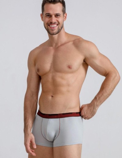 Трусы боксеры Jolidon N308MM grey, Цвет: grey (серый), Размеры: M, изображение 3