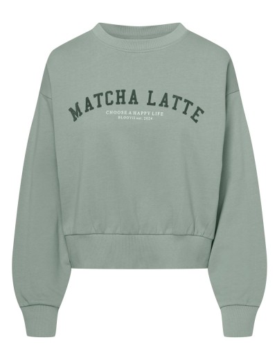 Толстовка хлопковая Esotiq 43785 KEITHAN бледно-зелёный, Цвет: бледно-зелёный, Размеры: M, изображение 4