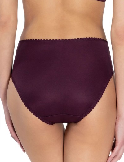 Трусы слипы Lauma COTTON CLASSIC L01810 brief red grape, Цвет: красный виноград, Размеры: M, изображение 2