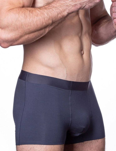 Мужские трусы боксеры Sergio Dallini SD2905-1, Цвет: графит, Размеры: 3XL, изображение 3