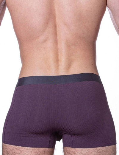 Мужские трусы боксеры Sergio Dallini SD2905-2, Цвет: фиолетовый, Размеры: 2XL, изображение 2