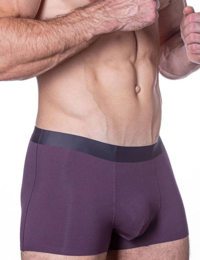 Мужские трусы боксеры Sergio Dallini SD2905-2, Цвет: фиолетовый, Размеры: 2XL, изображение 3