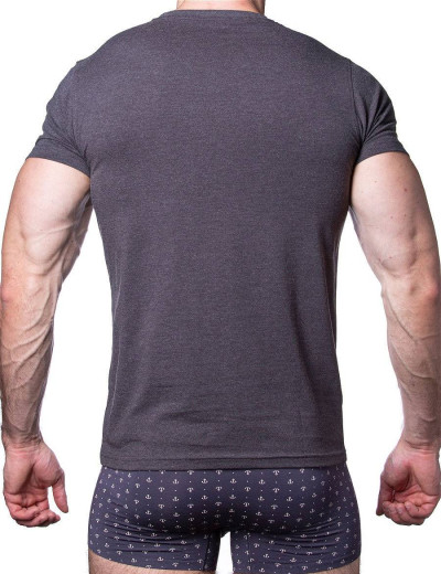 Футболка мужская Sergio Dallini SDT751-3 маренго/серый, Цвет: маренго/серый, Размеры: M, изображение 2