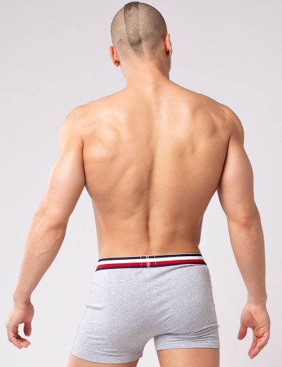 Мужские трусы боксеры Opium R-124 серый, Цвет: серый, Размеры: S, изображение 2