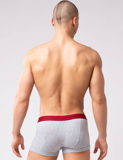 Трусы боксеры Opium R-125 серый, Цвет: серый, Размеры: M, изображение 2