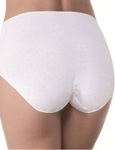 Трусы слипы высокие хлопок JANIRA MAXI PERFECT DAY COTTON 1031390 nacar, Цвет: nacar (крем), Размеры: M, изображение 2