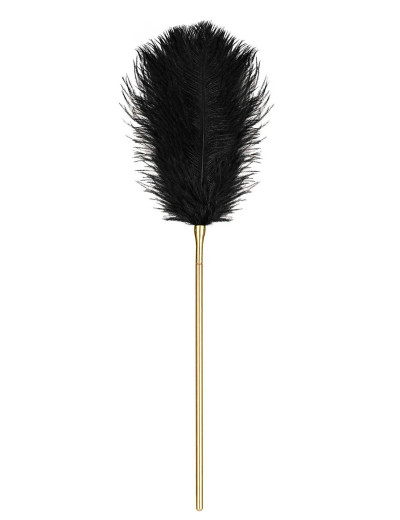 Стек перо/цепочка Obsessive A754, Цвет: черный/золотой, Размеры: UN, изображение 3