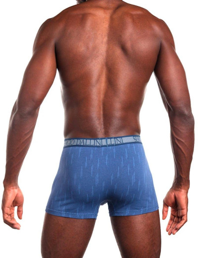 Мужские трусы боксеры Sergio Dallini SG2927-1, Цвет: синий, Размеры: 3XL, изображение 2