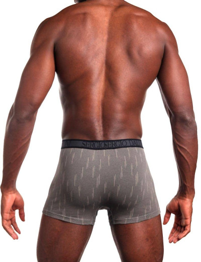 Мужские трусы боксеры Sergio Dallini SG2927-2, Цвет: серый, Размеры: M, изображение 2