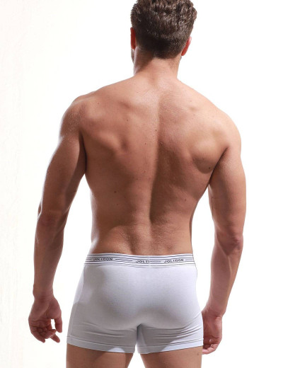 Трусы боксеры Jolidon N281BL white, Цвет: white (белый), Размеры: 2XL, изображение 2