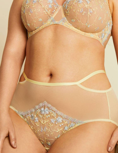 Высокие трусы слипы Kinga FORGET-ME-NOT 821/5-P, Цвет: бежевый/желтый, Размеры: XL, изображение 4