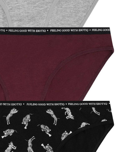 Комплект хлопковых трусов Esotiq SUN-SUN 39412 PANTIES (3 шт) серый+бордо, Цвет: серый+бордо, Размеры: L, изображение 2