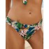 Трусы купальные Esotiq 39702 VIBRANT, Цвет: мульти, Размеры: S