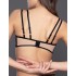 Бюстгальтер пуш-ап Gracija-Rim EMILY 10470, Цвет: черный/кофе с молоком, Размеры: 70C, изображение 2