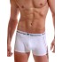 Трусы боксеры Jolidon N60BL white, Цвет: white (белый), Размеры: XL