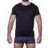 Футболка мужская Sergio Dallini SDT750-2 черный, Цвет: черный, Размеры: M