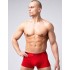 Мужские трусы боксеры Opium R-128, Цвет: красный, Размеры: 3XL