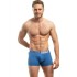Трусы боксеры мужские Jolidon N190BL riviera blue, Цвет: riviera blue (голубо, Размеры: XL
